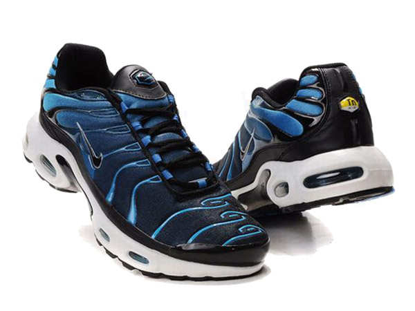 tn requin bleu