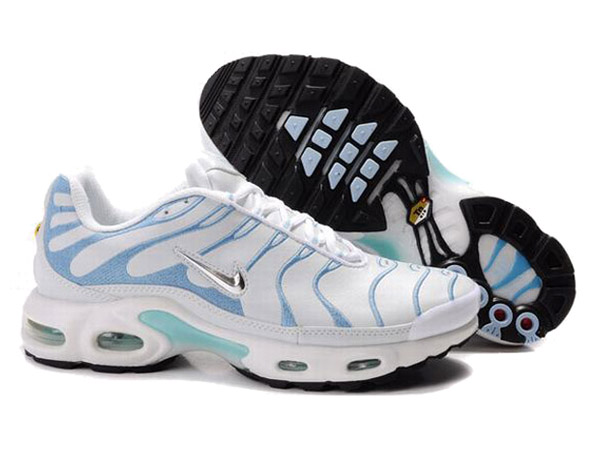 boutique tn requin