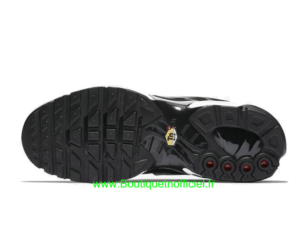 nike air max plus premium homme nike air max plus premium homme