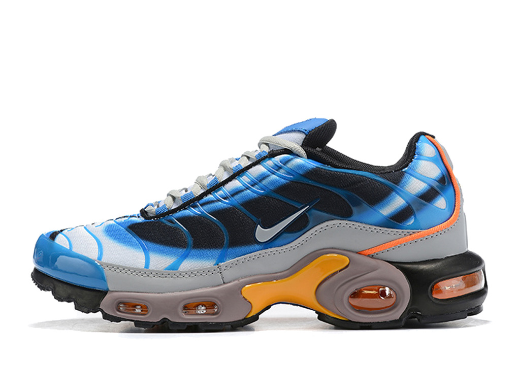 tn requin 2019 tn requin 2019