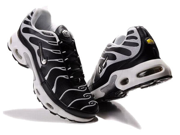 tn requin noir et blanc tn requin noir et blanc