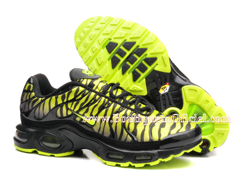 chaussures nike air max tn chaussures nike air max tn