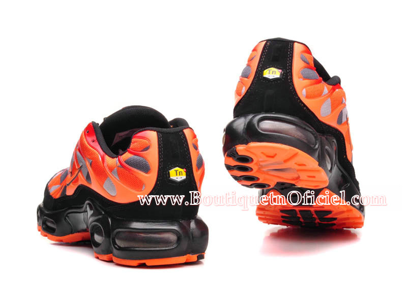 tn requin orange