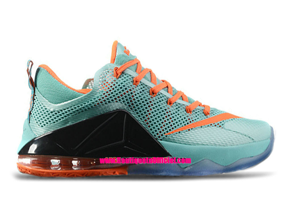 nike lebron 12 noir