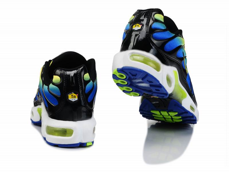 tn requin bleu jaune tn requin bleu jaune