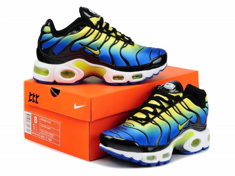 nouvelle tn requin