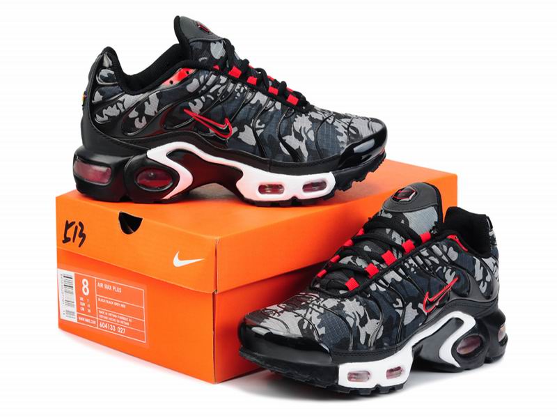 nouvelle tn requin