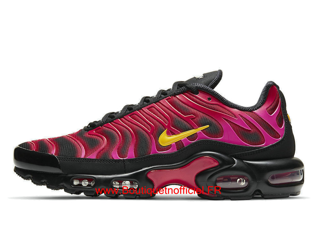 chaussure nike tn pas cher 100 chaussure nike tn pas cher 100