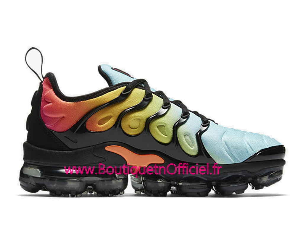boutique tn requin