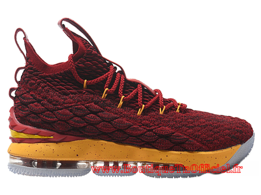 lebron 15 lion