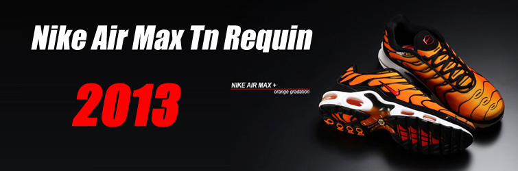 nike tn 2013